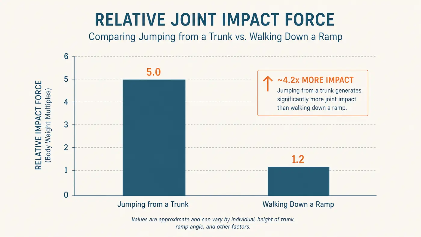 Simple chart comparing joint impact force of jumping versus walking down a ramp for senior dogs