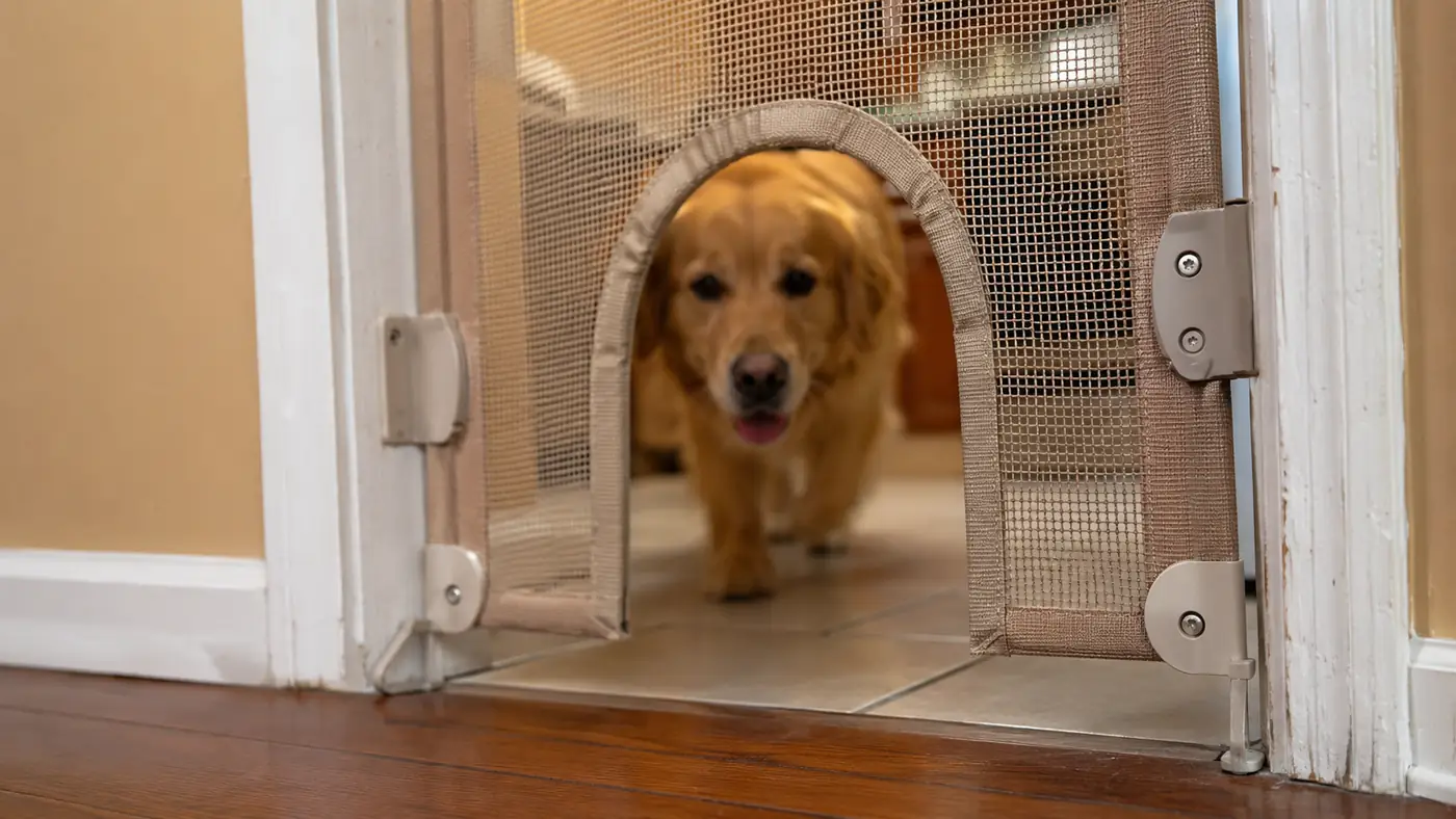 Carlson Dog Gate: The Honest Review After the Warranty Ran Out