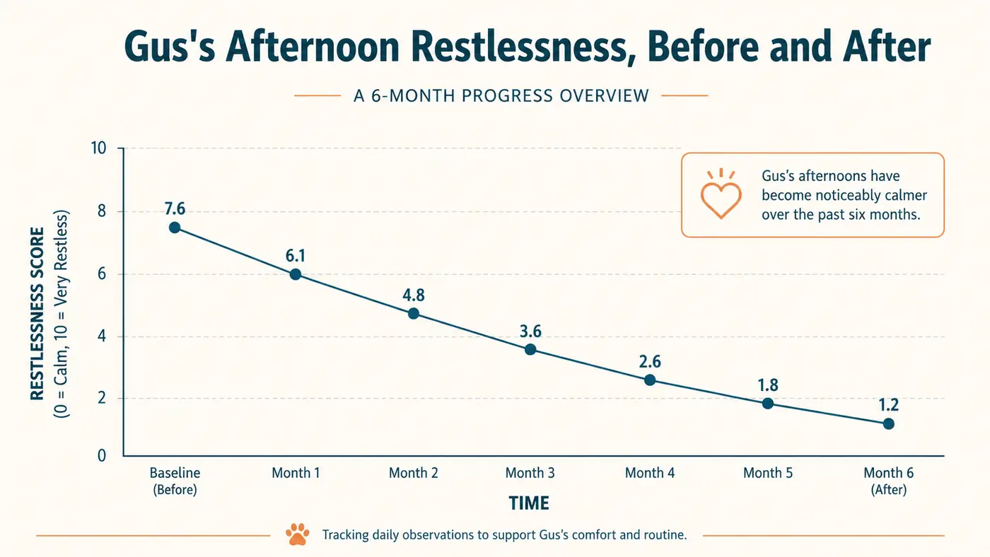 Simple line chart showing a dog's estimated afternoon restlessness trending downward across a six month period of automatic launcher use