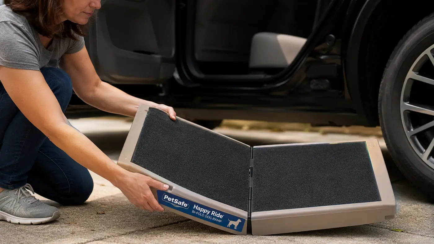 Hand unfolding the PetSafe Happy Ride ramp on pavement next to a parked car